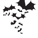 Šikšnosparnių pulkas