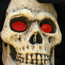 Kaukolė raudomis akimis