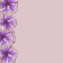 Violetinis vaizdas