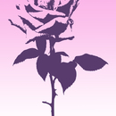 Rožės siluetas