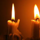 Žvakės