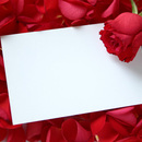 Laiškas su rože