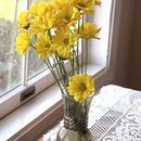 Geltonų gėlių vaza